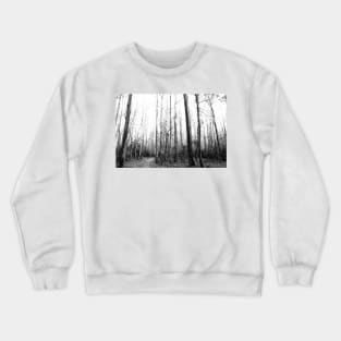 Cedar Along Lake James Crewneck Sweatshirt